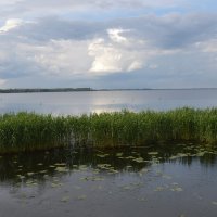 www.13lo.szczecin.pl