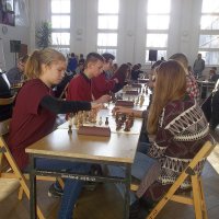 galeria sportowa